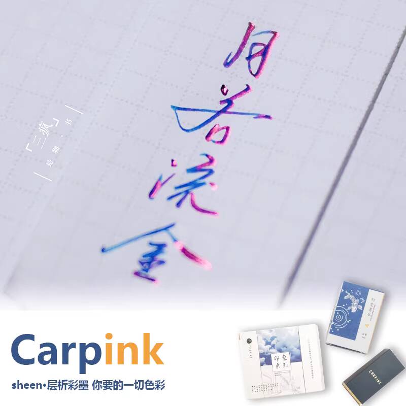Carpink Niekarbonowy Tusz do P – Fountain Pen Bottled Ink recenzja i cena