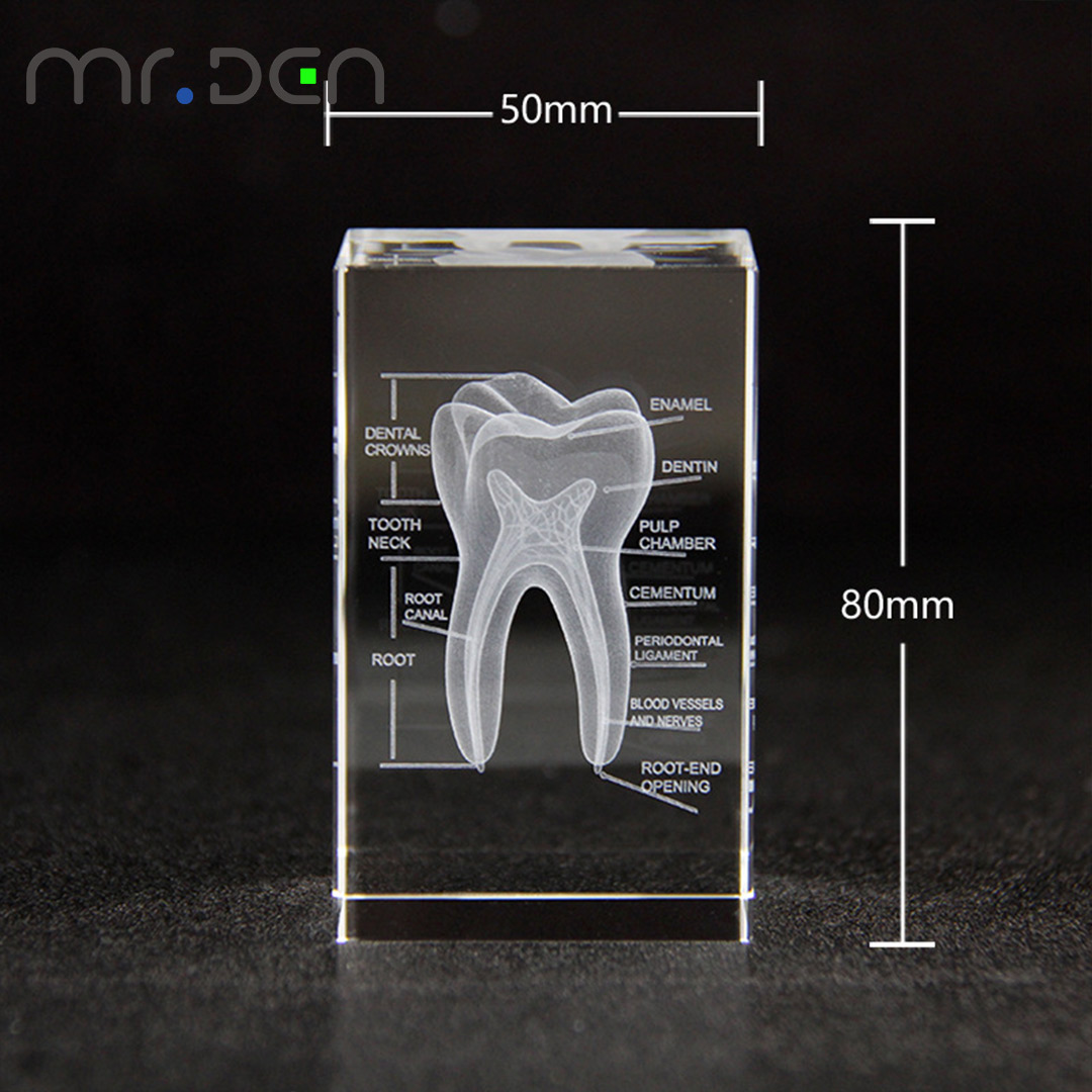 Dental 3D grawerowane laserowo – Paper Weight Crystal recenzja i cena